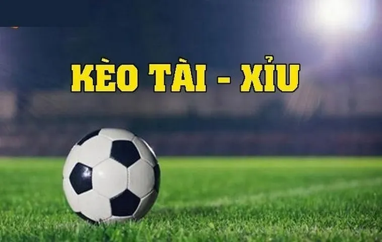 Nhận Định Kèo Nhà Cái voton - Soi Kèo Nhà Cái Hôm Nay Mới Nhất 12 Dự đoán tổng số bàn thắng của trận đấu sẽ lớn hơn hay nhỏ hơn con số nhà cái đưa ra.